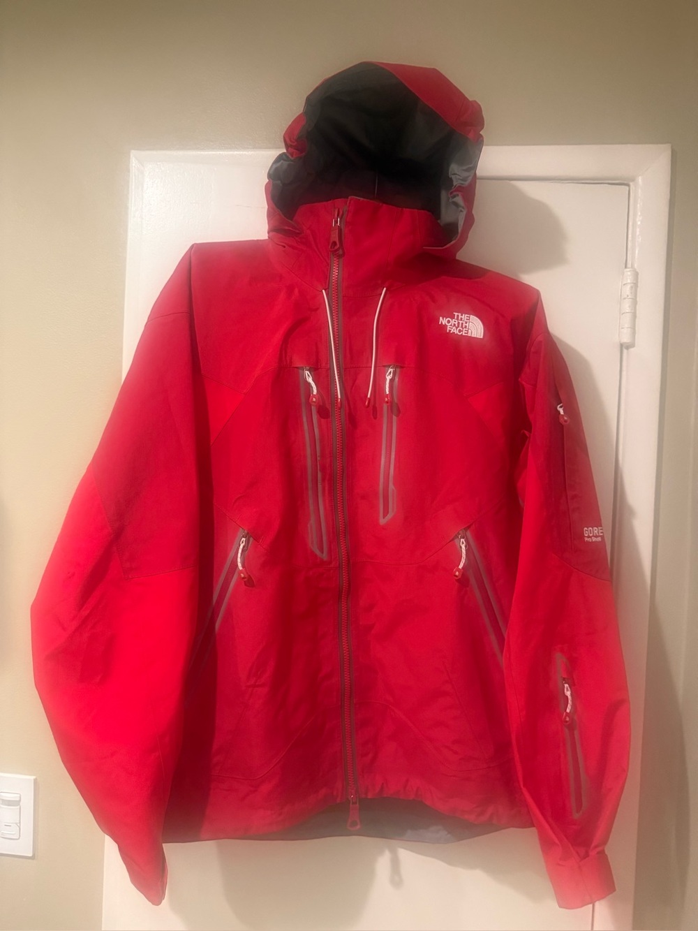 $180 OBO - The North Face Men’s Free Thinker ProShell Gore-Tex Jacket (Medium)